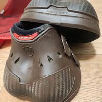 Paraglomi Zandona' cavallo