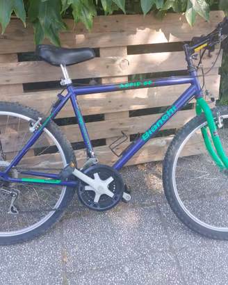 Bicicletta mountain bike  Bianchi aspid  sf 