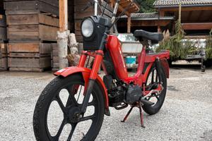 Gabbiano 50cc