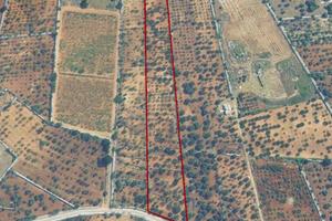 Terreno agricolo a Castellana Grotte