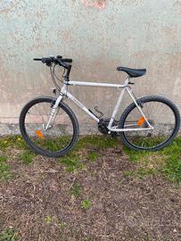 Mountain bike Colnago