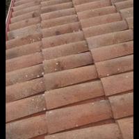 Coppo assisi in terracotta