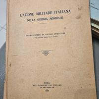 collezionismo l'azione militare italiana nella gue