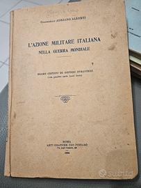 collezionismo l'azione militare italiana nella gue