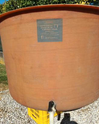 timo in vetroresina per vino