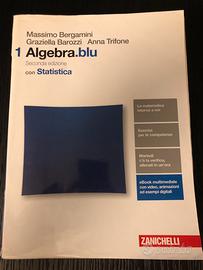 Libro di testo: algebra.blu 2ª edizione 1º volume