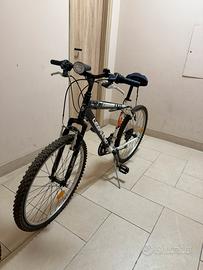 Mountain Bike Legnano MTB