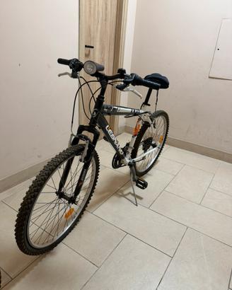 Mountain Bike Legnano MTB