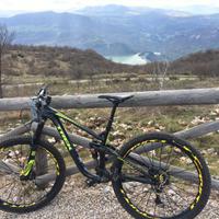 Mtb Trek Remedy 8