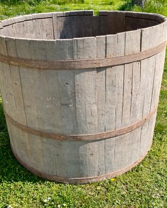 Tinozza in legno per vino