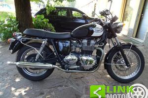 TRIUMPH Bonneville T100 Black/White