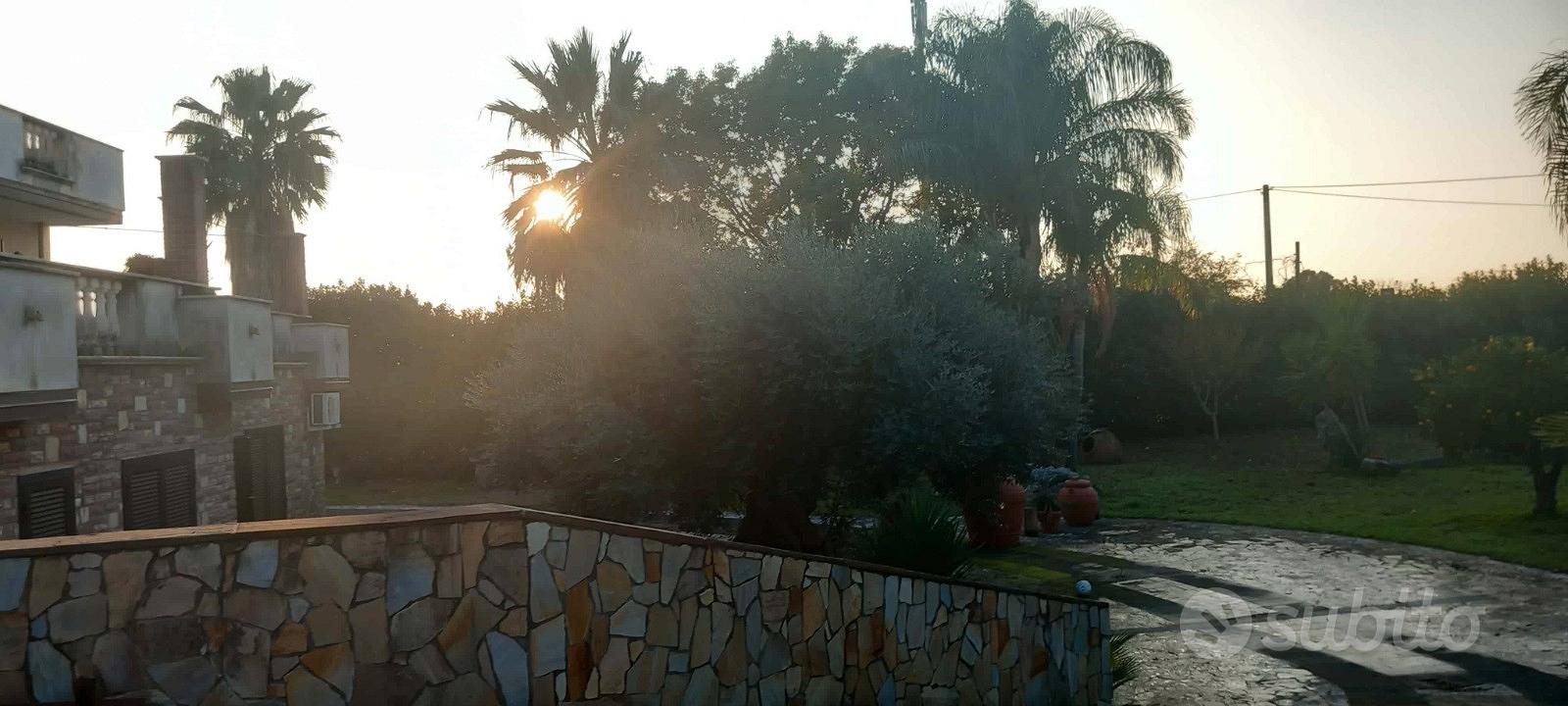 Casa – Capaccio, Spinazzo/Varco Cilentano - Altro