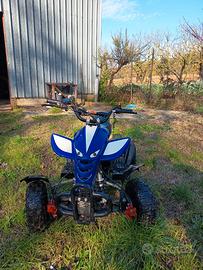 Quad 50 come nuovo