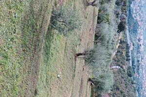 Vendita terreno agricolo