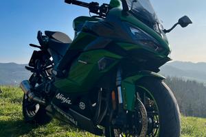 Kawasaki Ninja 1000 SX Tourer 2020 – Borse