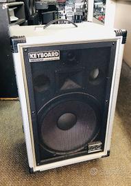 amplificatore tastiera e chitarra roland cube100