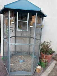Voliera con 6 coppi inseparabili