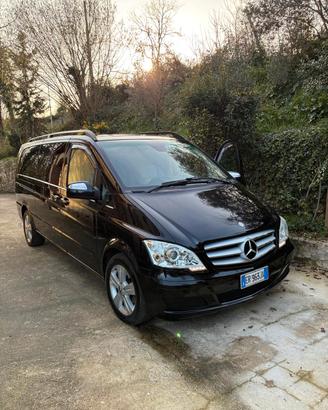 Mercedes Viano 
