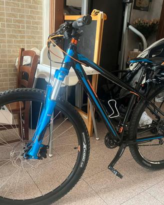 Bici KTM Ultra fan 29