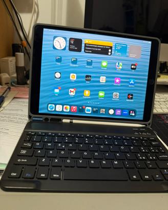 iphad pro 10.5” 256 gb