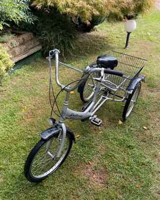 Bicicletta/Triciclo a tre ruote per adulti