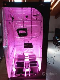 kit growbox 100 + led 600w