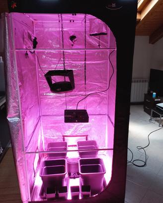 kit growbox 100 + led 600w