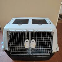 trasportino animali