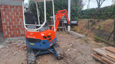 Miniescavatore kubota