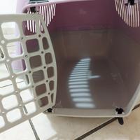 trasportino per gatti