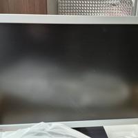 Monitor 22 pollici