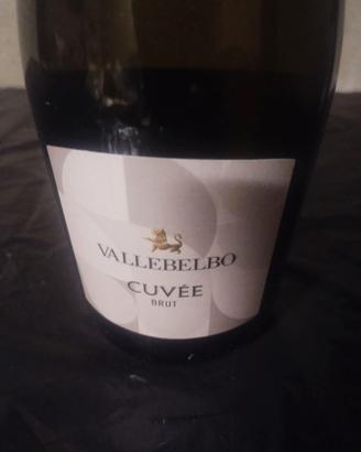 Vino Spumante Cuvée Brut - Vallebelbo