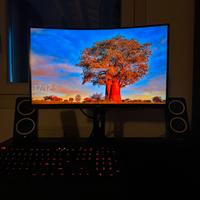 Monitor AOC C24G1