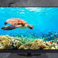 PANASONIC TV 55' OLED 4K ULTRA HD BluRay Play