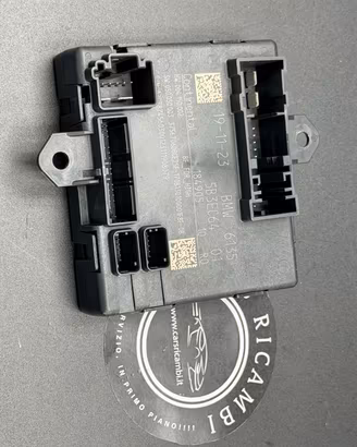 CENTRALINA PORTIERA ANTERIORE DESTRA BMW 61355B547