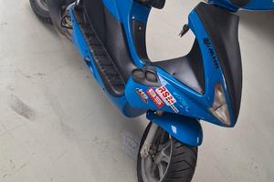 Benelli 491