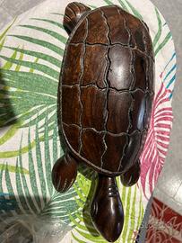 Tartaruga