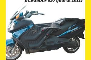 TERMOSCUDO TUCANO URBANO BURGMAN 650