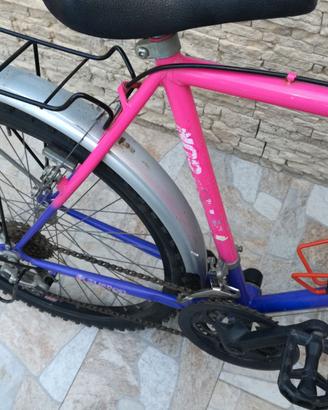 Bicicletta