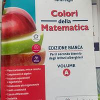 Colori della Matematica Vol.A ISBN 9788849423082