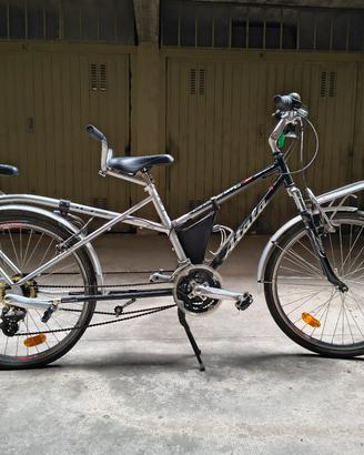 Atala Bibici