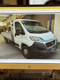 Ducato Cassonato