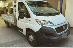 Ducato Cassonato