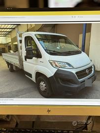 Ducato Cassonato