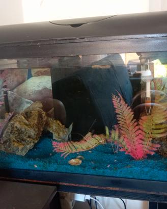 Acquario con mobiletto