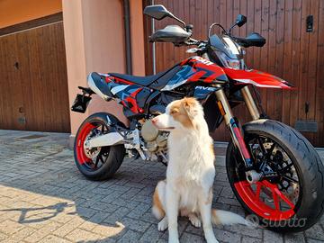 Ducati 698 RVE