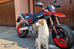 Ducati 698 RVE