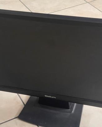 Schermo 22”