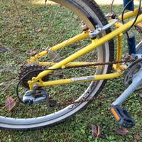 bicicletta mounta bike