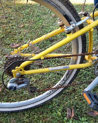 bicicletta mounta bike